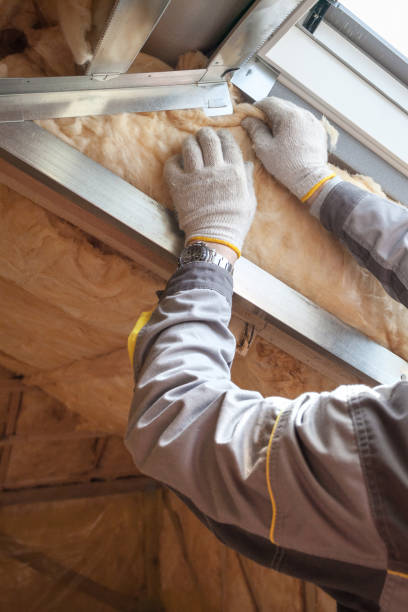 Best Residential Insulation in Merriam, KS