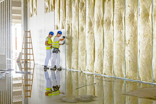 Best Blown-in Insulation in Merriam, KS